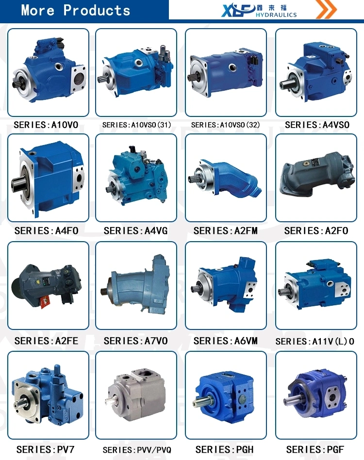 Rexroth Hydraulic Pump/Piston Pump/Grease Pump/Pressure Pump/Oil Pump/Vane Pump/ Gear Pump/Excavator Pump for A2fo/A2FM/A4V/A6vm/A7V/A10V/A11V