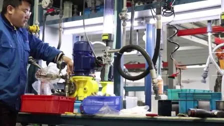 유압 플런저 기계식 다이어프램 계량 펌프 산성 화학 투약 펌프